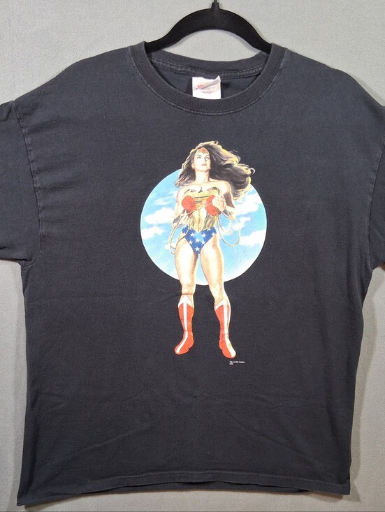 Hanes Heavyweight Other - Unisex Graphitti Large Wonder Woman T-Shirt Black/Multi Superheroine DC Comics